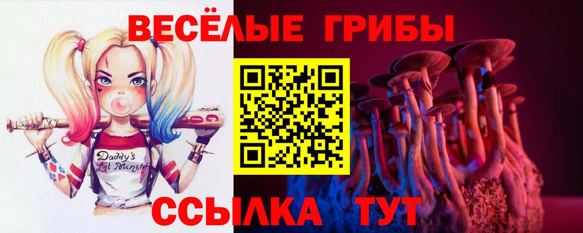 Псилоцибиновые грибы прущие грибы Рузаевка